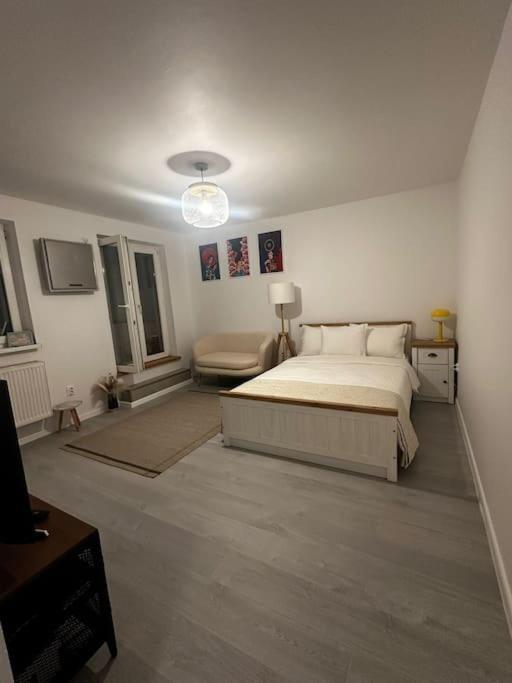 Studio Cozy Piata Victoriei Appartement Boekarest Buitenkant foto