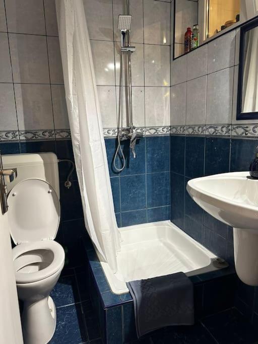 Studio Cozy Piata Victoriei Appartement Boekarest Buitenkant foto