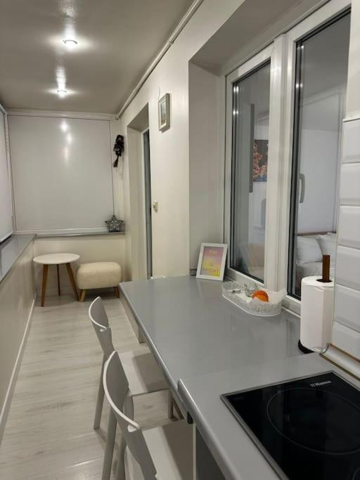 Studio Cozy Piata Victoriei Appartement Boekarest Buitenkant foto